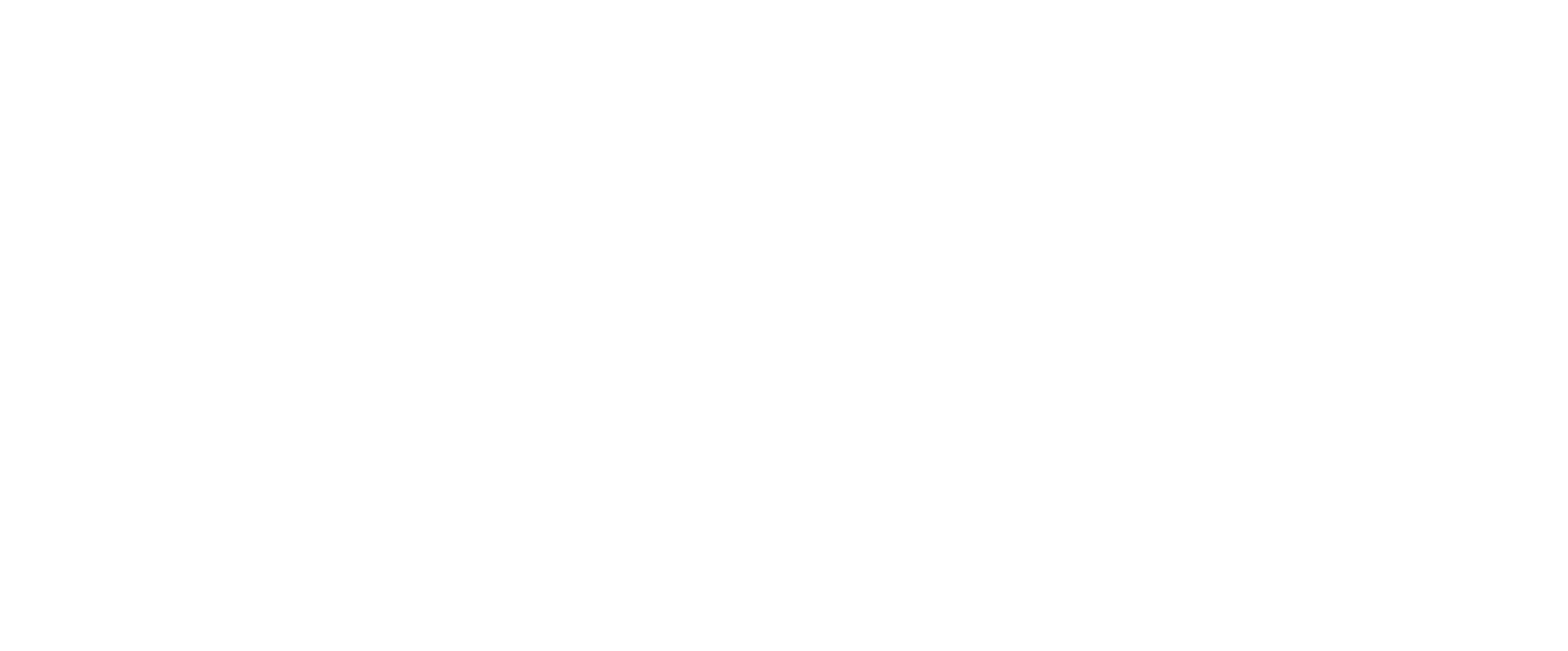 State Fair Mini Donuts logo